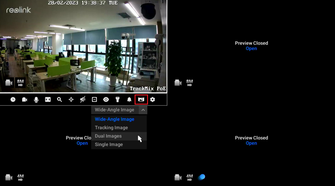 choose dual image