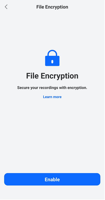 enable File Encryption