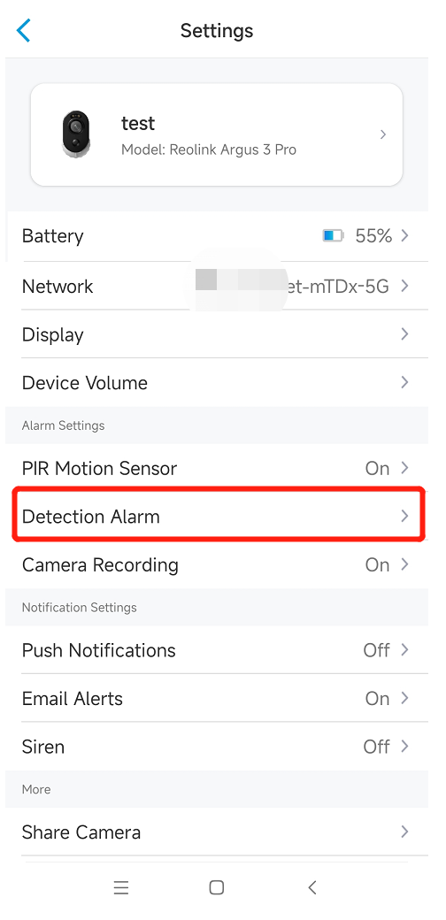 dtection alarm