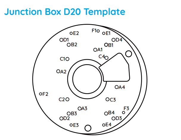 D20