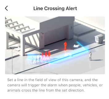 line crossing alert
