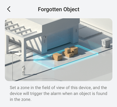 forgotten object