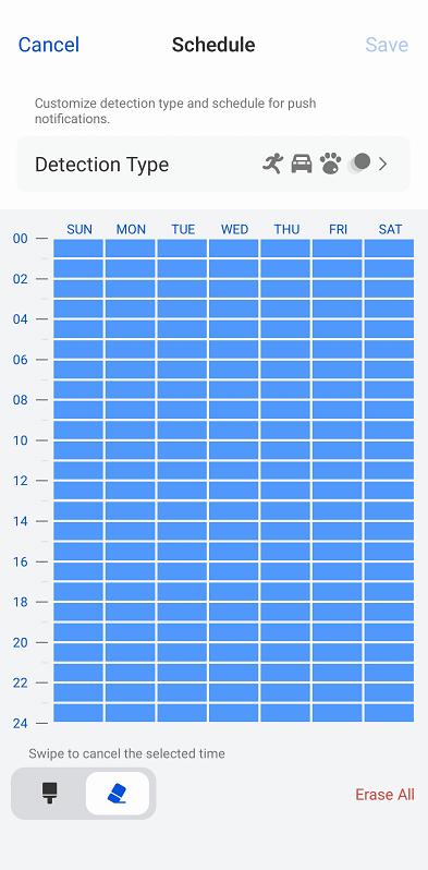configure detection type and schedule