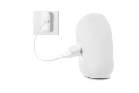 charge battery Argus 2