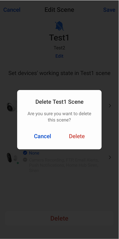 confirm delete scene