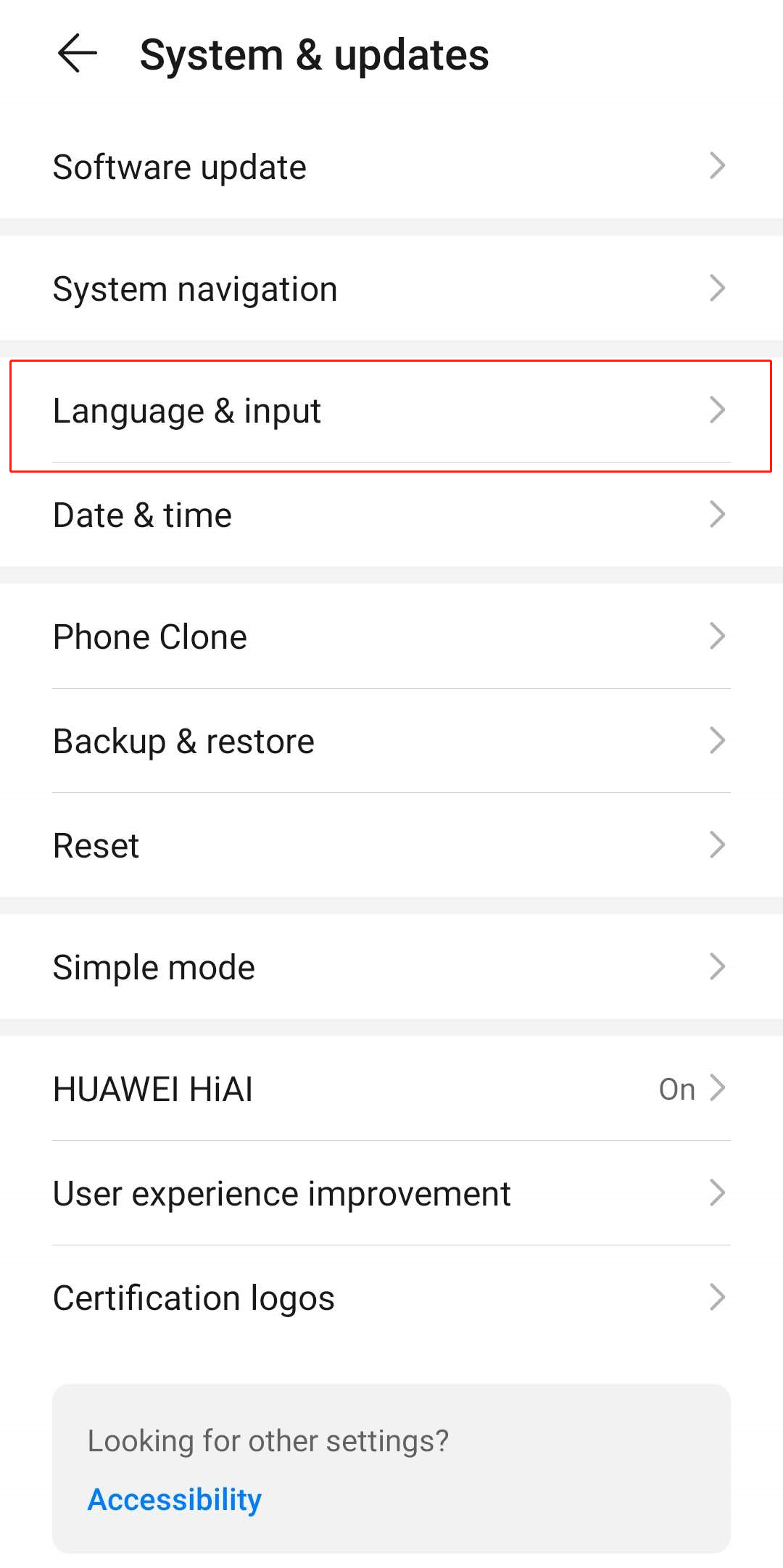 language inputs