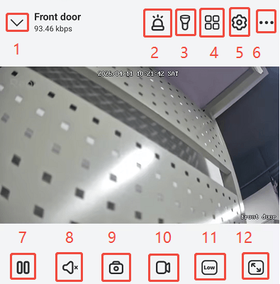 live view button