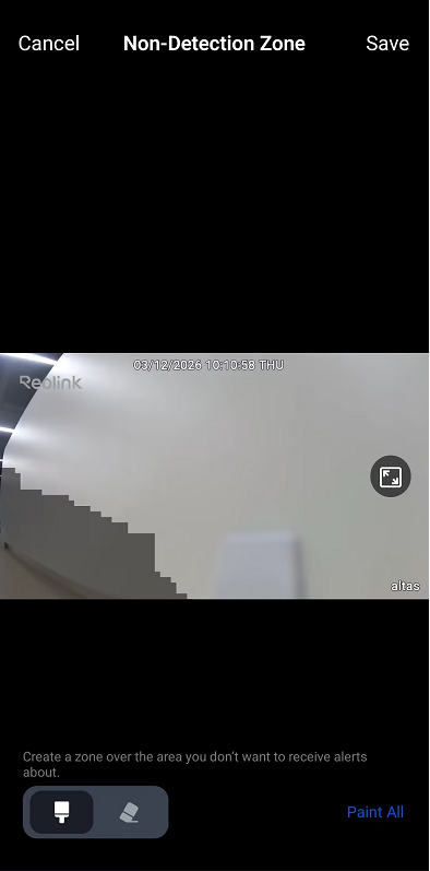 detection zone