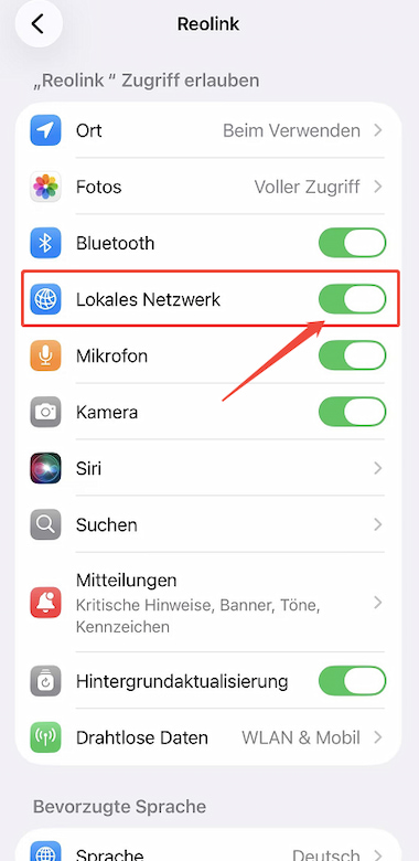 local network