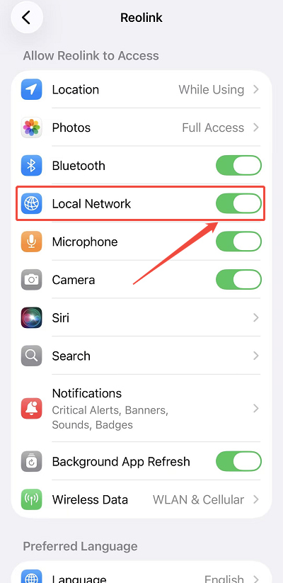 local network
