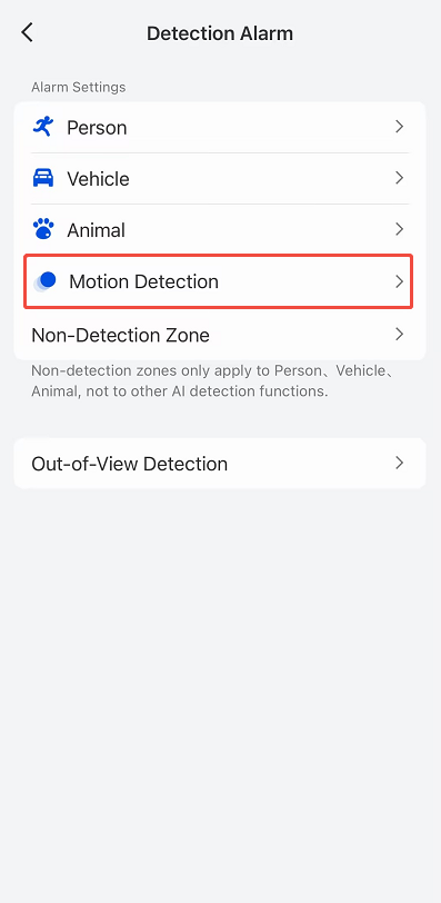 Motion Detection