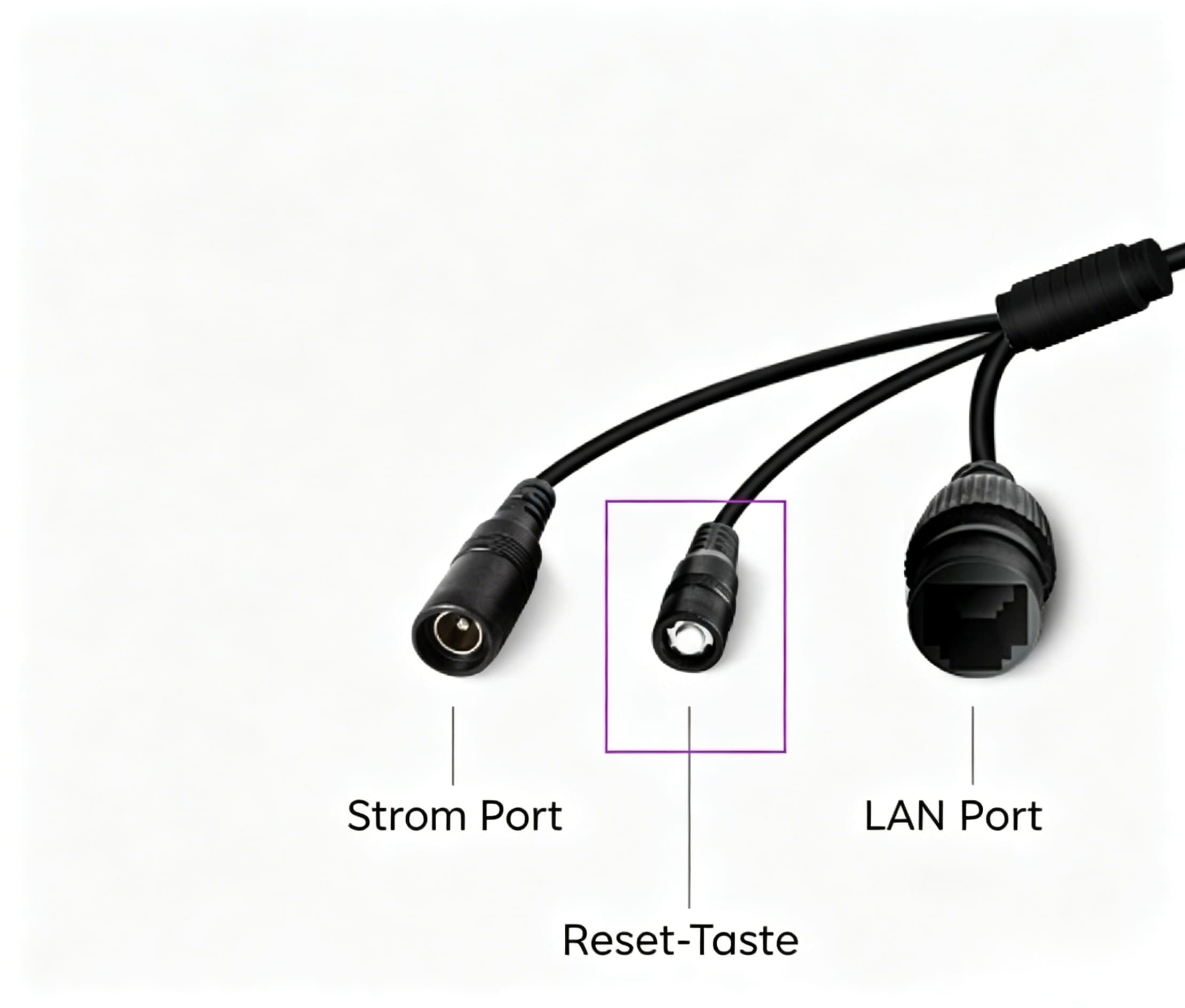 lan port