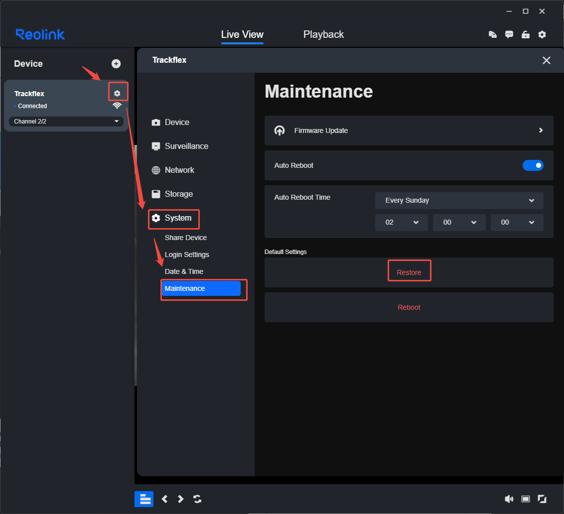 client Restore