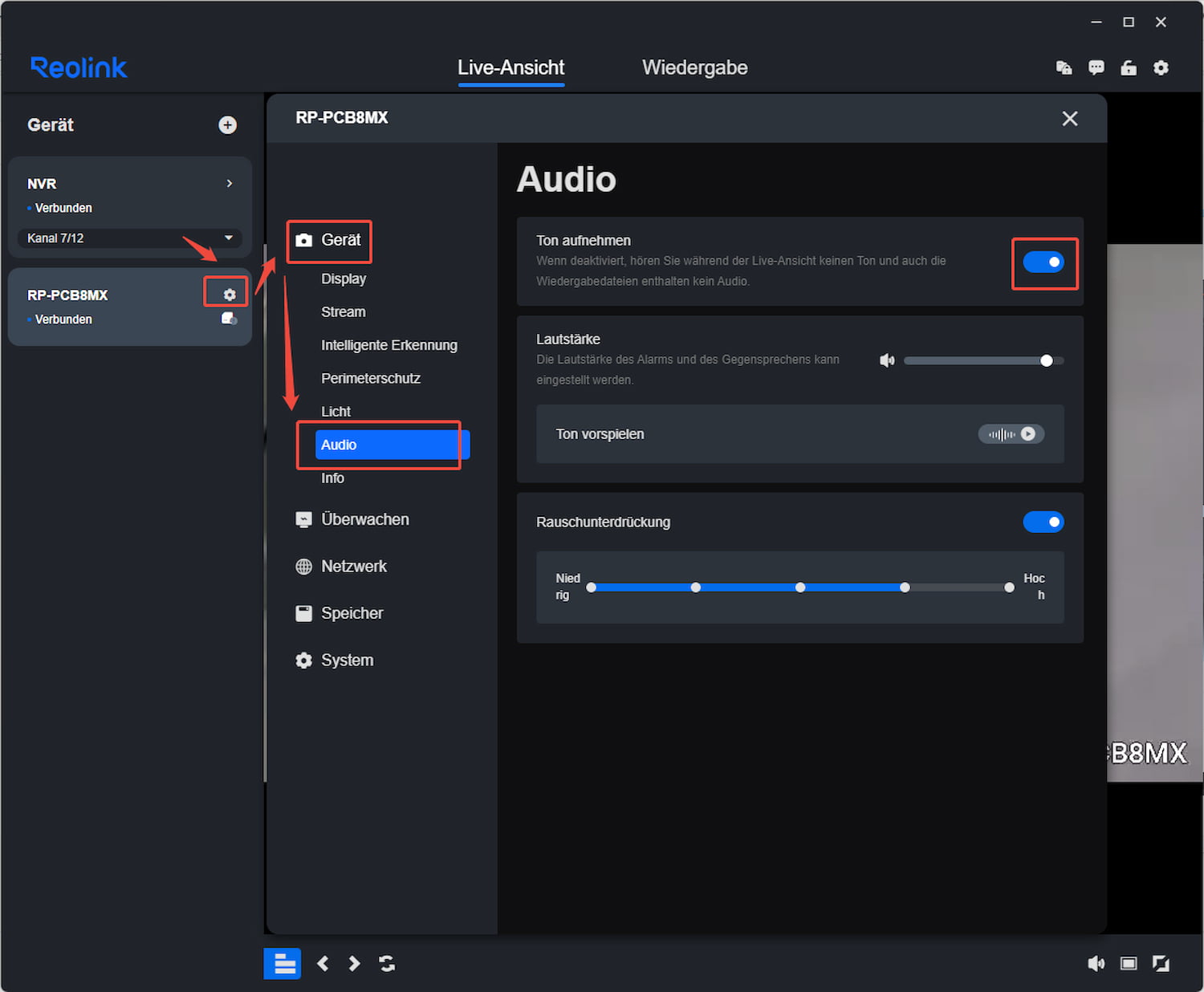 Record audio