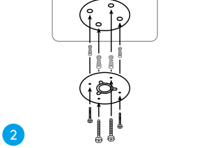 drill holes