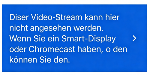 google home app error message