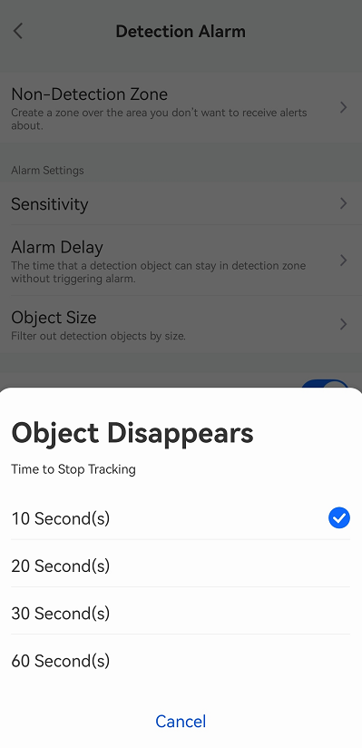 object disappears