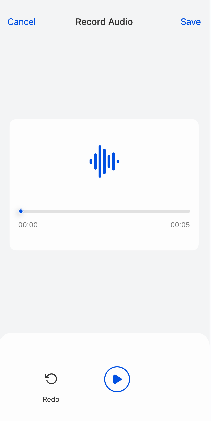 play the audio